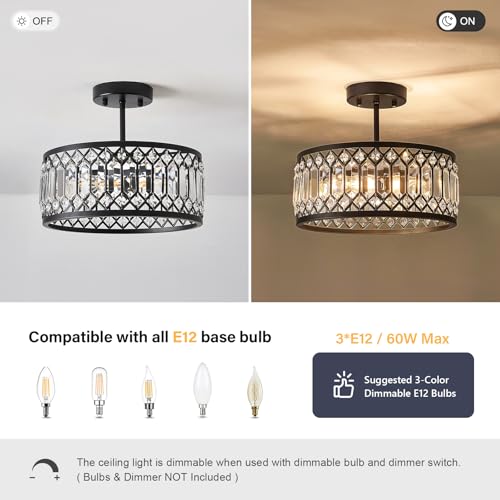 Crystal Black Ceiling Light