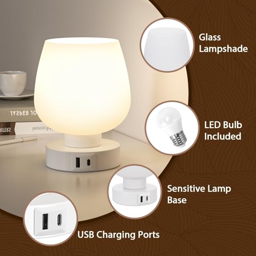 Touch Table Lamp for Nightstand Set of 2 (2 Count)