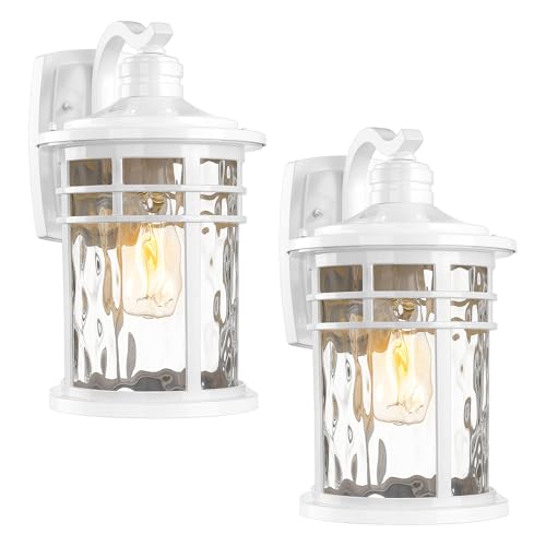 Outdoor Wall Light Fixture (2 Count)