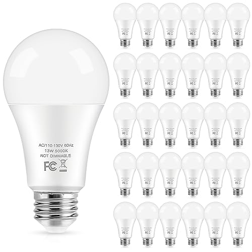 LED Light Bulbs (30 Count)