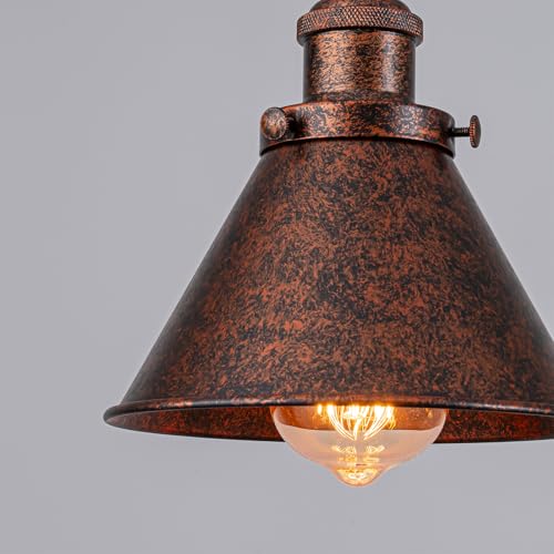 Plug in Pendant Light