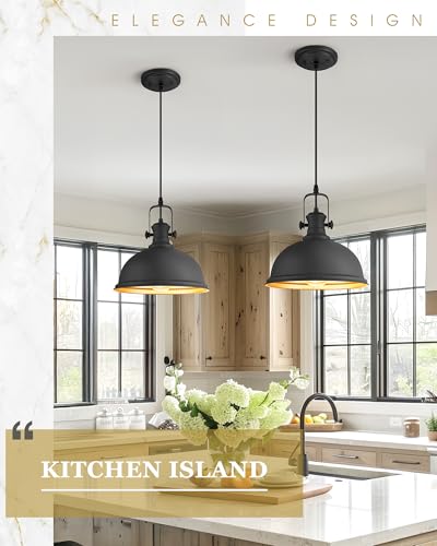 2 Pack Black Pendant Lights for Kitchen Island (2 Count)