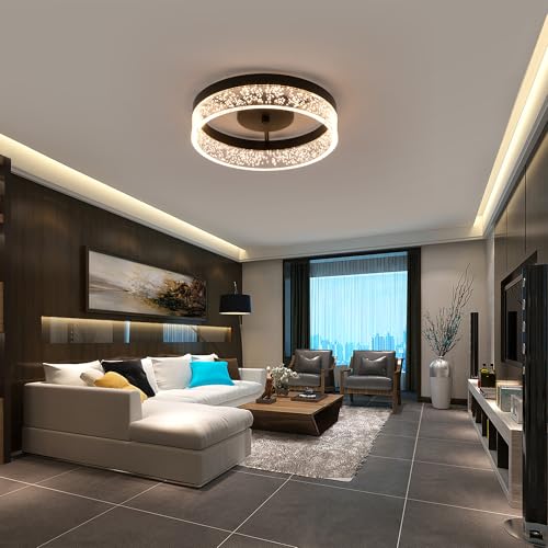 Modern LED Ceiling Light Fixture