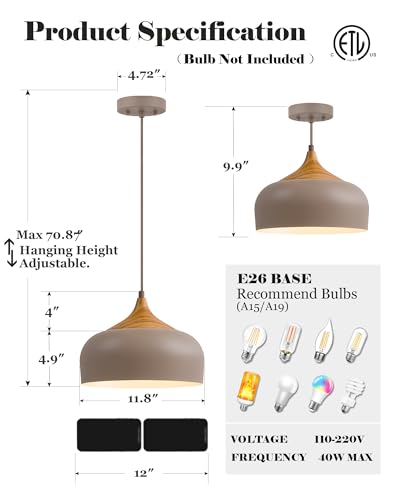 12" Japandi Pendant Light