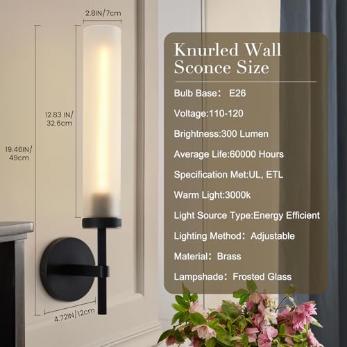 Modern Hardwired Frosted Glass Bathroom Black Wall Sconces 2PC