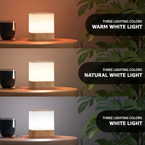 2 Pack Rechargeable Small Night Light Touch Dimmable Cordless Lamp (2 Count)