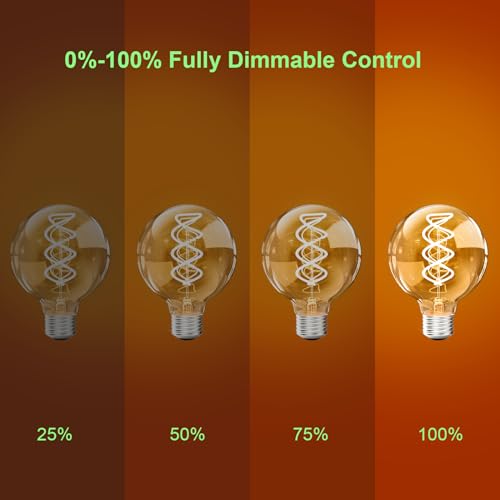 6PCS G80 Vintage Edison Light Bulbs Dimmable for Home
