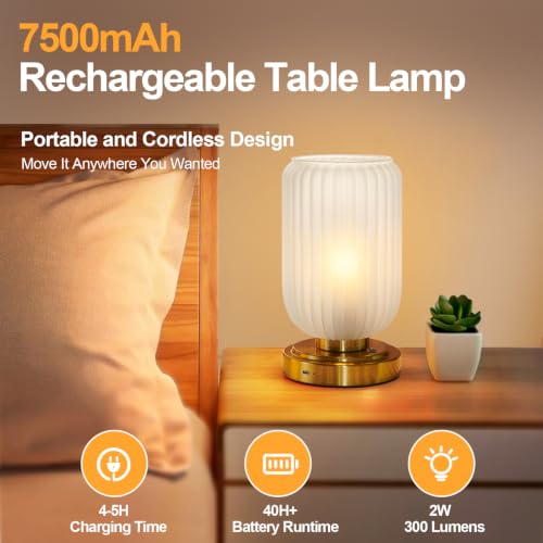 Cordless Table Lamp for Bedroom