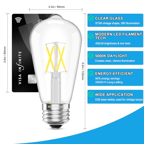 6 Pack Vintage LED Edison Bulbs (6 Count)