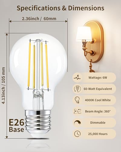 A19 Neutral White Edison Bulbs (6 Count)