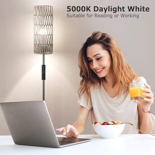 64'' Floor Lamps for Living Room with Remote Control and Stepless Dimmable Colors Temperature & Brightness