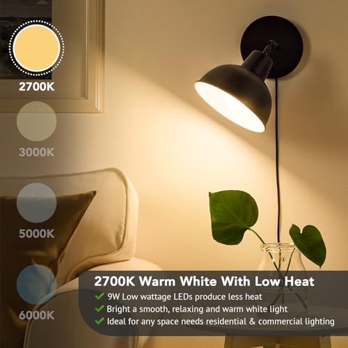 A19 LED Light Bulbs (4 Count)