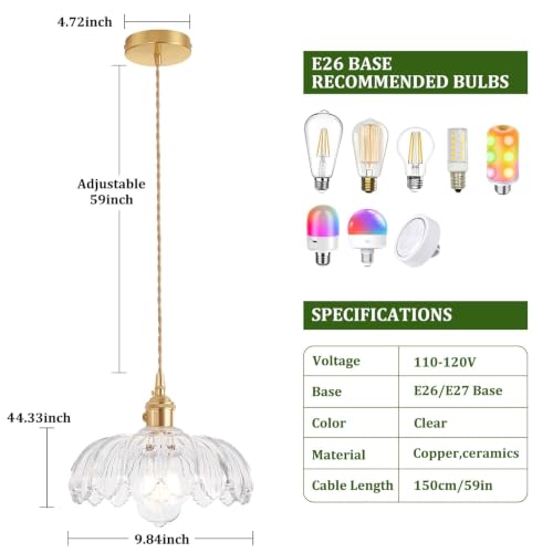 Pendant Light with Clear Scindapsus Glass Lmapshade