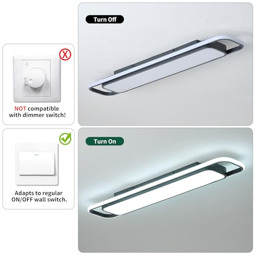 Modern LED Ceiling Light