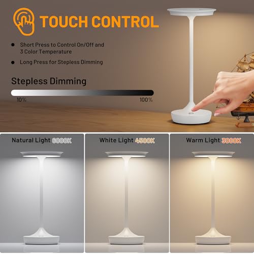 LED Rechargeable Cordless Outdoor 6000mAh Battery Table Lamp 2 (2 Count)