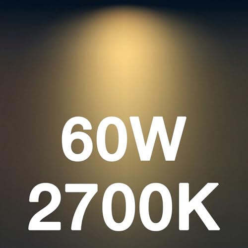 LED Candelabra Light Bulbs E26 Base (48 Count)