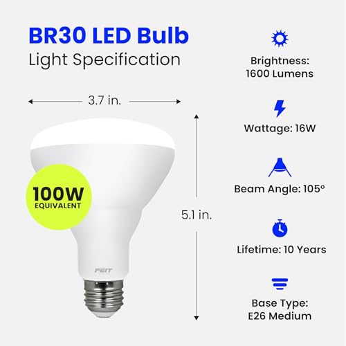BR30 LED Light Bulbs (6 Count)