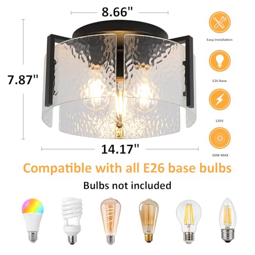 Black Flush Mount Ceiling Light Fixture