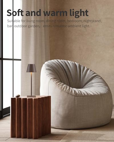 2 Pack Cordless Brown Table Lamps (2 Count)