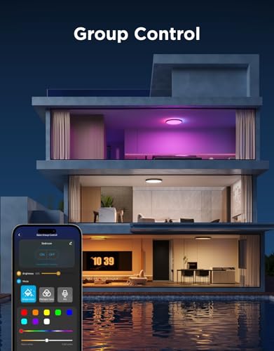 Smart Ceiling Light