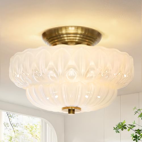 Semi Flush Mount Ceiling Light
