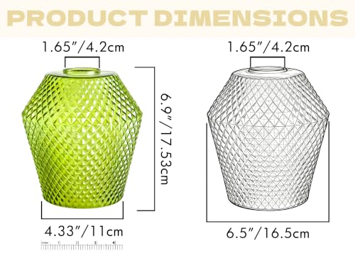 2Pcs Small Glass Lamp Shades (2 Count)