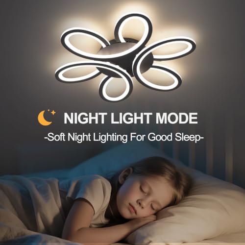 Modern LED Ceiling Light