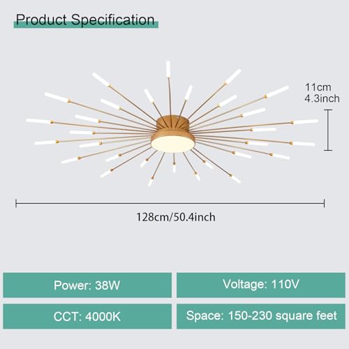 Modern Ceiling Light