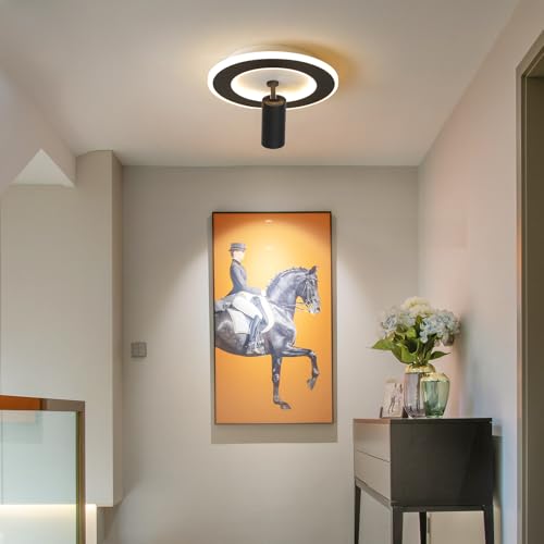 Modern LED Ceiling Lights with 1 Spotlight 9.8Inch Black Ceiling Light with Remote Control Dimmable 3000k