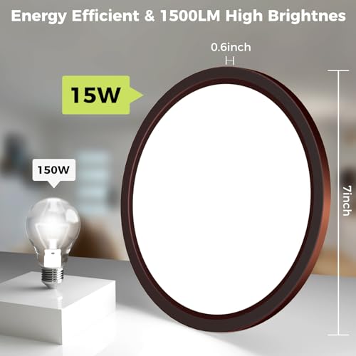 LED Flush Mount Ceiling Light Fixture Oil Rubbed Bronze