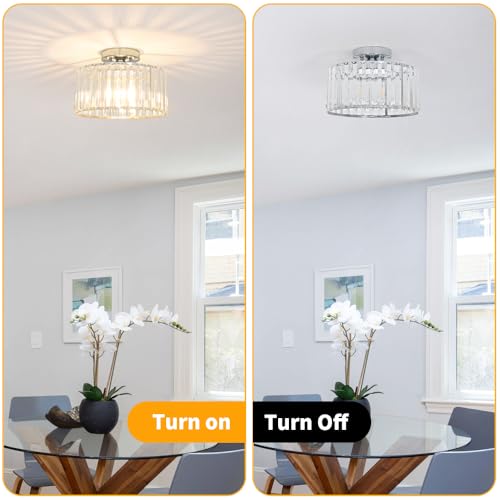 Crystal Ceiling Light Fixture