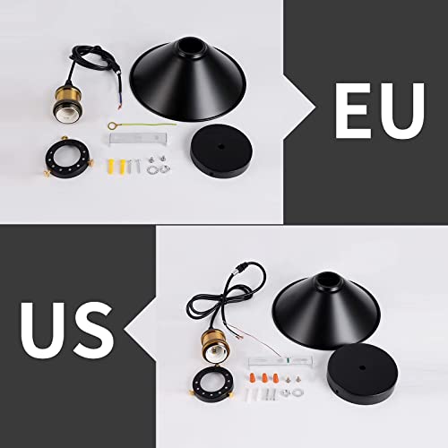 2 Pack Industrial Retro Black Iron Pendant Light (2 Count)