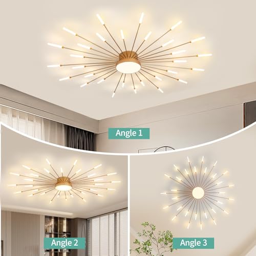 Modern Ceiling Light