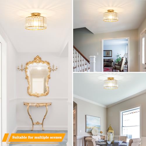 Crystal Ceiling Light Fixture