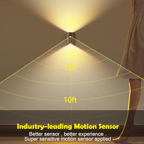 2 Pack Wood Step Light with Motion Sensor (2 Count)