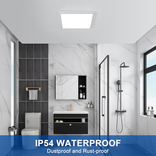 12 Inch Flush Mount Ceiling Light