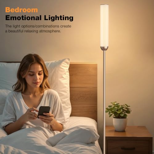 LED Floor Lamp with Remote Control