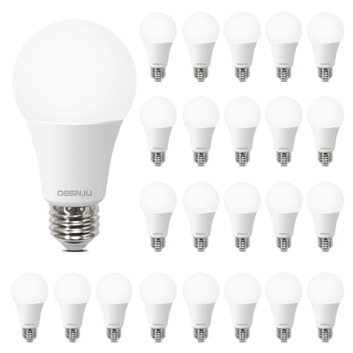 A19 Light Bulbs (24 Count)