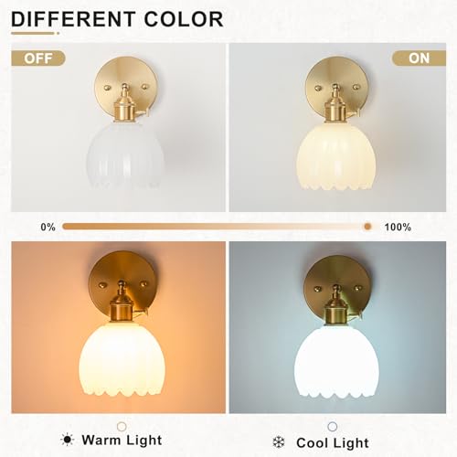 Hardwired Wall Sconce Light