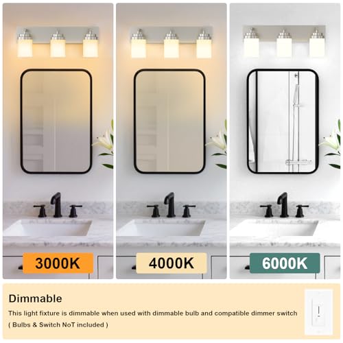 Bathroom Vanity Light Fixture