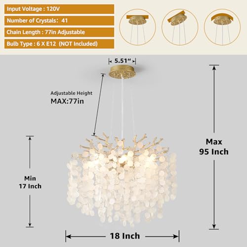 18 Inch Coastal Chandelier 6