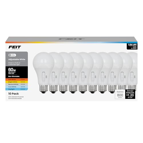 A19 LED Light Bulb (10 Count)