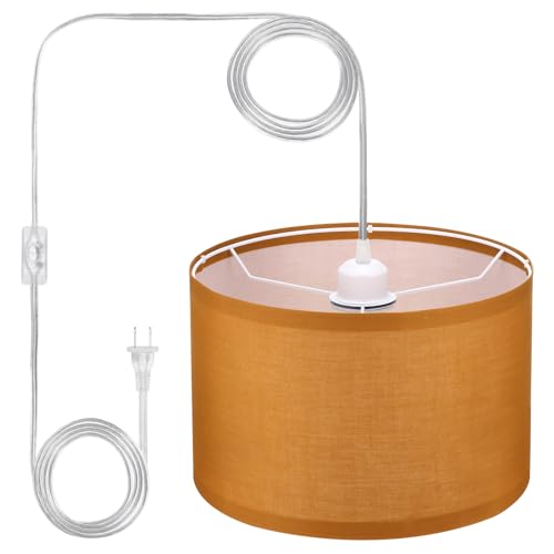 Plug in Pendant Light