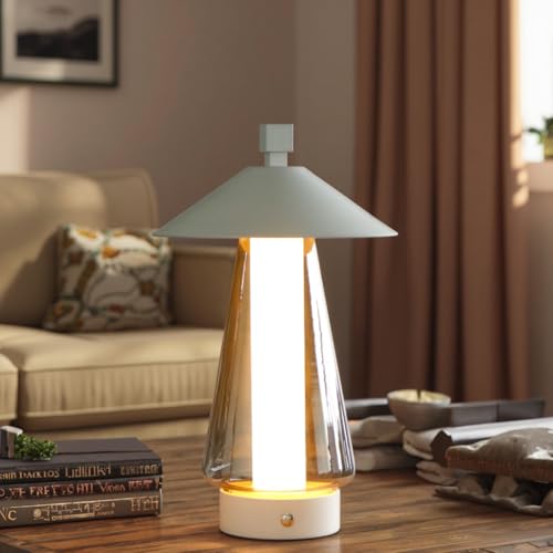 Set of 2 Stepless Dimmable Bedside Lamp 12" H LED Touch Table Lamp Nightstand Lamp with Grey Anodized Glass lampshade for Bedroom Living Room Indoors Outdoors（White (2 Count)