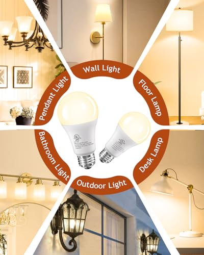 LED Light Bulbs (12 Count)
