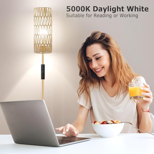 64'' Floor Lamps for Living Room with Remote Control and Stepless Dimmable Colors Temperature & Brightness