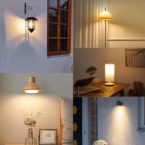 LED Light Bulbs Dimmable Vintage Edison Bulb (6 Count)