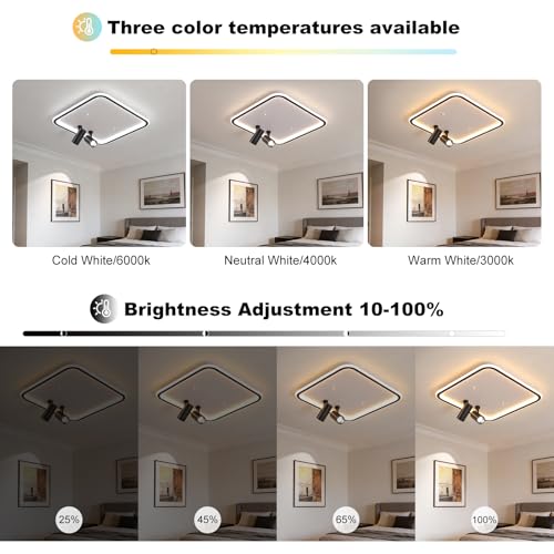 Modern Square LED Flush Mount Ceiling Light with 2 Spotlights