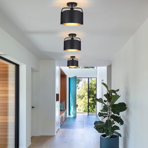 Flush Mount Ceiling Light