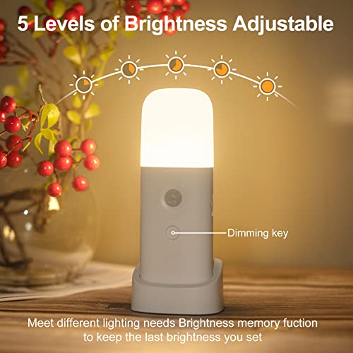 Motion Sensor Night Light (2 Count)